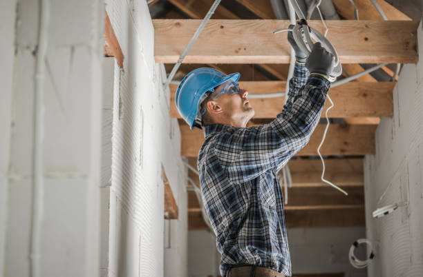 Best Ceiling Fan Installation Electrician  in Mount Vernon, AL